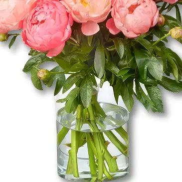 Amsterdam-Zuidoost flowers  -  Peonies Bouquet Loua Flower Bouquet/Arrangement