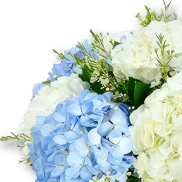 An-Najadah blomster- Elegant hortensia og voksblomst Blomsterarrangementer bukett
