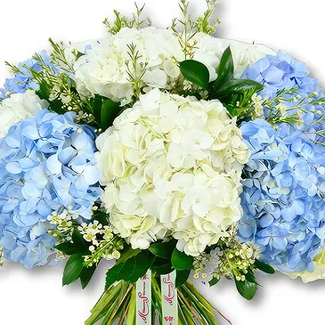 An-Najadah blomster- Elegant hortensia og voksblomst Blomsterarrangementer bukett