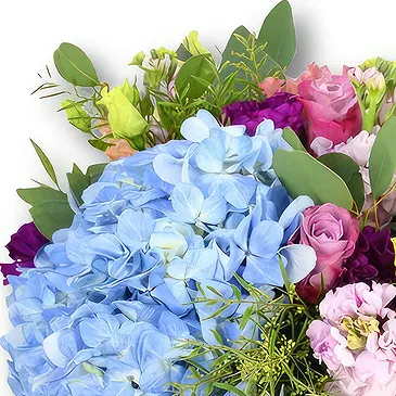 An-Najadah blomster- Bukett med blå hortensia og lilla roser Blomsterarrangementer bukett