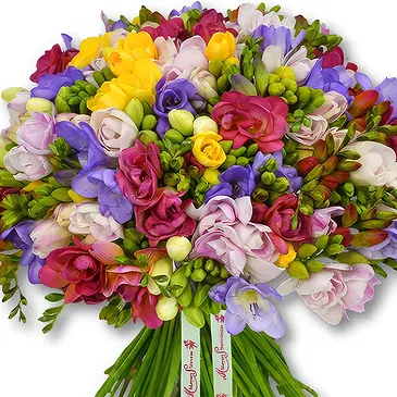 Garhoud flowers  -  Fresh Freesias in Multicolor Flower Bouquet/Arrangement