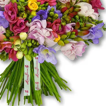 Garhoud flowers  -  Fresh Freesias in Multicolor Flower Bouquet/Arrangement