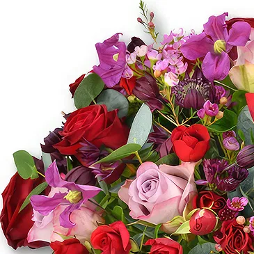 United Arab Emirates flowers  -  Romantic Red and Purple Rose Bouquet Flower Bouquet/Arrangement