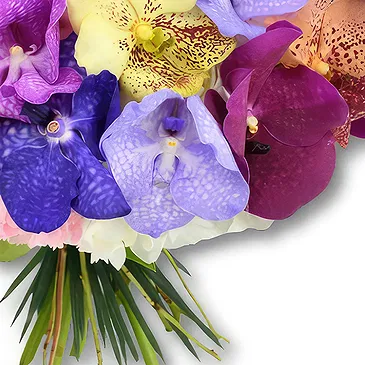 United Arab Emirates flowers  -  FAIRY ORCHIDS Flower Bouquet/Arrangement