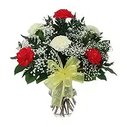 Ad Dilam Online blomsterbutikk - Blandede farger nelliker Bukett