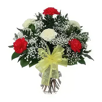 Saudi Arabia flowers  -  Mixed Color Carnations Flower Delivery