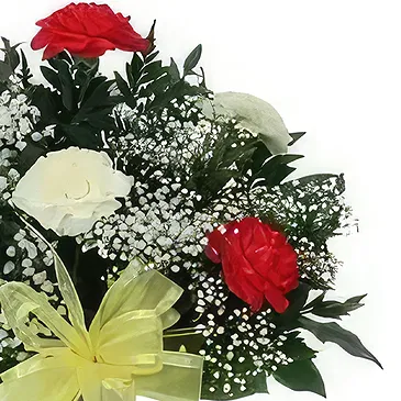 Ad Dilam blomster- Blandede farger nelliker Blomsterarrangementer bukett
