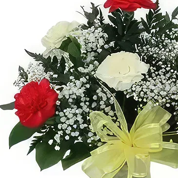 Ad Dilam blomster- Blandede farger nelliker Blomsterarrangementer bukett