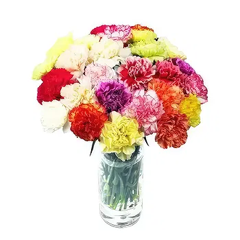 New Zealand flowers  -  Full of joy Flower Delivery