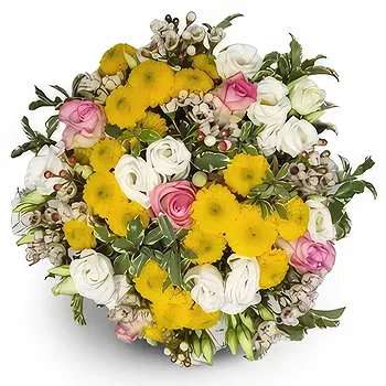 Switzerland flowers  -  Let the light in Flower Delivery