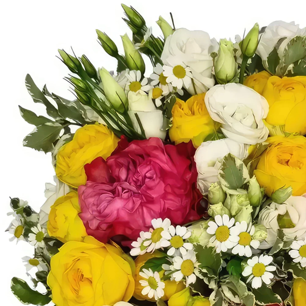 بائع زهور باسل- المشاعر الاسبانية باقة الزهور