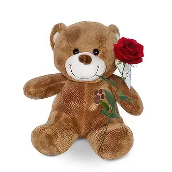 Switzerland flowers  -  Bear Hug Delivery