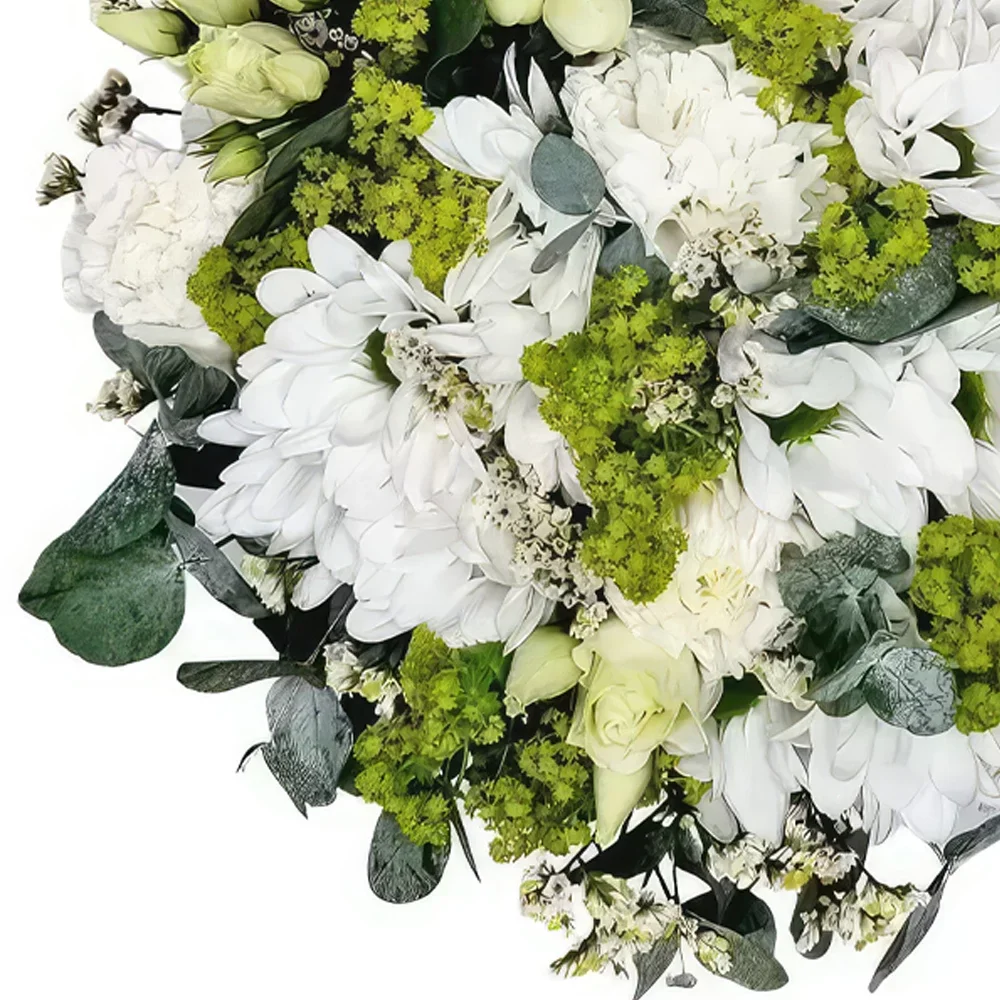 flores de Basileia- Conforto Bouquet/arranjo de flor