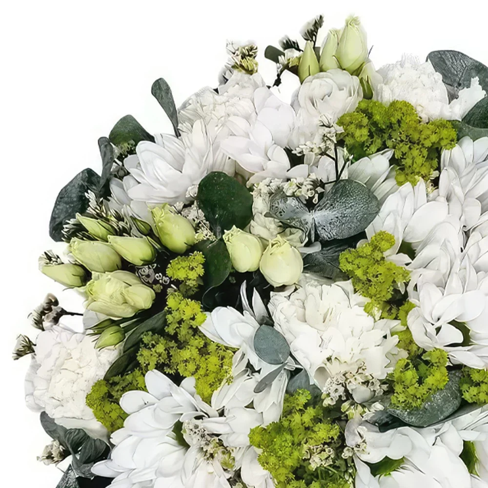 flores de Basileia- Conforto Bouquet/arranjo de flor