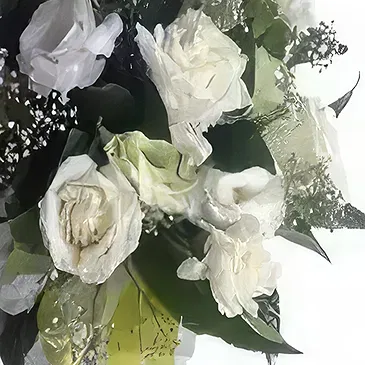 Phitsanulok flowers  -  Mother's Pride  Flower Bouquet/Arrangement