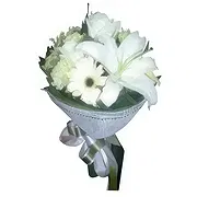 ท่าวังผา ดอกไม้ออนไลน์ - ความบริสุทธิ์ของความรัก ช่อ