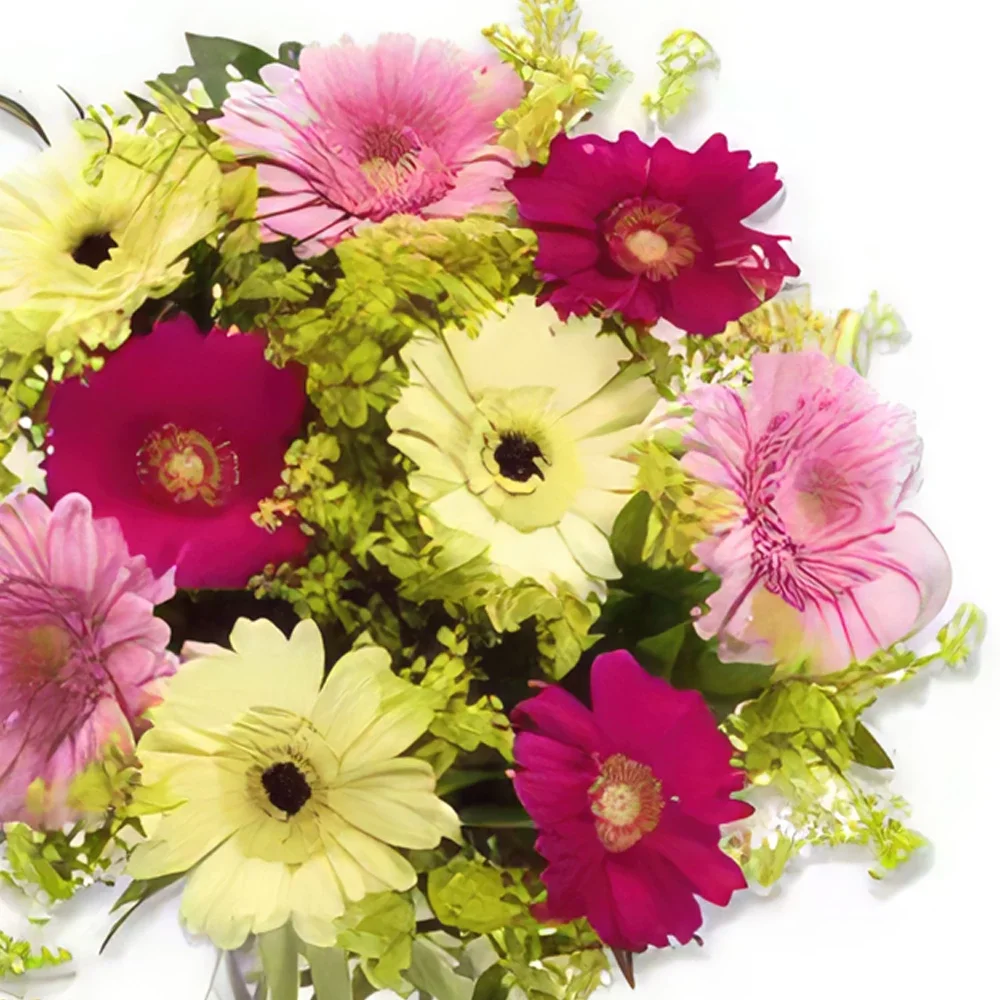 flores Oslo floristeria -  Gérminis coloridos Ramo de flores/arreglo floral