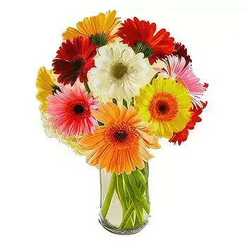 flores de Zaragoza- Devaneio Flor Entrega