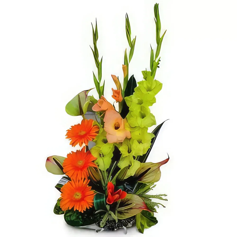 Mauritius flowers  -  Mournful Embrace