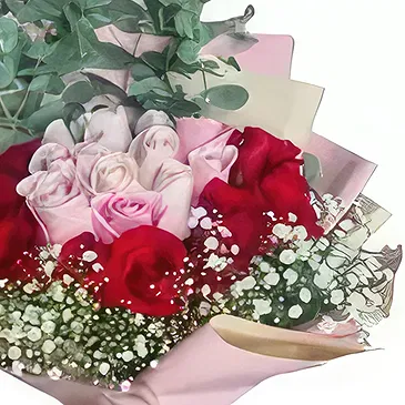 Bonilla flowers  -  craving love  Flower Bouquet/Arrangement