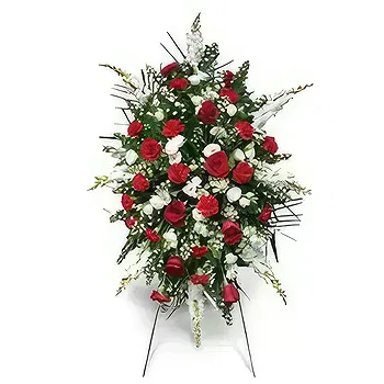 Residencial Honduras flowers  -   Tripod arrangement Flower Delivery