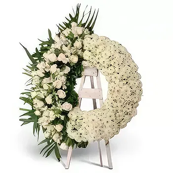 Residencial Honduras flowers  -  Eternal Peace. Flower Delivery