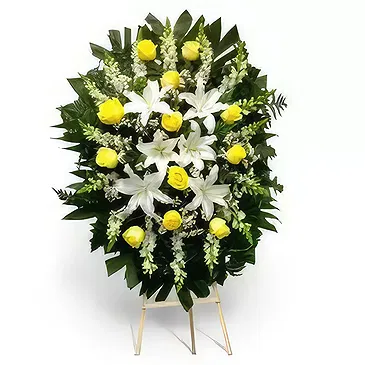 Chinda flowers  -  Safe Haven Flower Bouquet/Arrangement