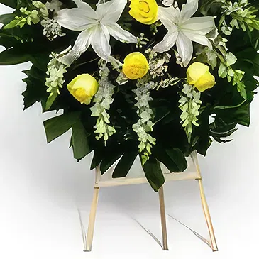 Chinda flowers  -  Safe Haven Flower Bouquet/Arrangement