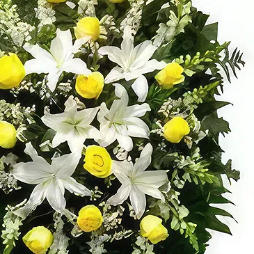 Chinda flowers  -  Safe Haven Flower Bouquet/Arrangement