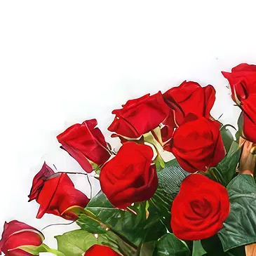 Adma flowers  -  Ruby Amore Flower Bouquet/Arrangement