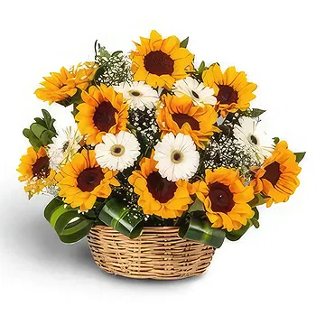 fleuriste fleurs de Azacualpa- Splendeur printanière Fleur Livraison