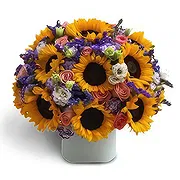 San Juan Pueblo Floristeria online - mañana alegre Ramo de flores