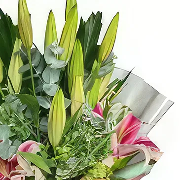 Intibucá blomster- Fantastisk rosa liljebukett Blomsterarrangementer bukett