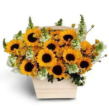 Honduras flowers  -  Scented Love Flower Delivery