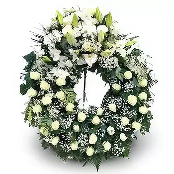 Residencial Honduras flowers  -  Farewell Crown of Roses Flower Delivery