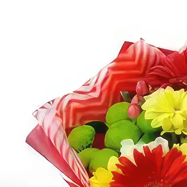 Bacova Mahala Blumen Florist- Sonnenschein-Blumenstrauß Bouquet/Blumenschmuck