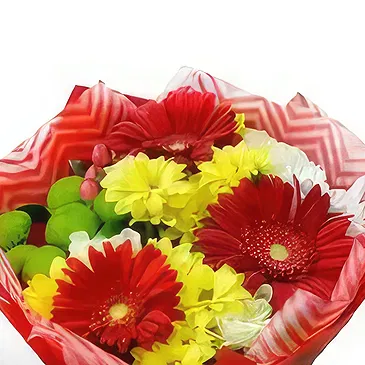 Bacova Mahala Blumen Florist- Sonnenschein-Blumenstrauß Bouquet/Blumenschmuck
