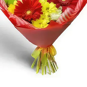 Bacova Mahala Blumen Florist- Sonnenschein-Blumenstrauß Bouquet/Blumenschmuck