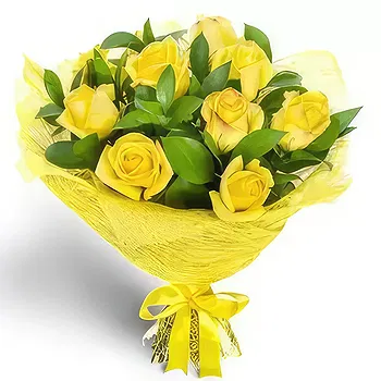 Kravino flowers  -  Vivid Reminiscence Flower Delivery