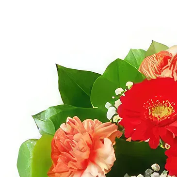flores Bojkovo floristeria -  Dulce Amor Ramo de flores/arreglo floral