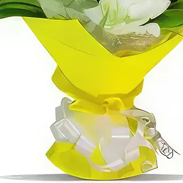 Tongjin-eup flowers  -  Sunny Day Flower Bouquet/Arrangement