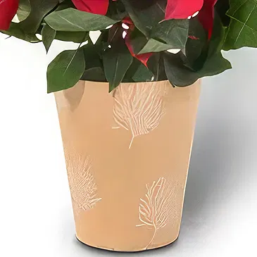 Amsterdam flowers  -  Luxe Poinsettia Flower Bouquet/Arrangement