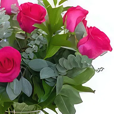 Amsterdam flowers  -  Pink Shine Flower Bouquet/Arrangement