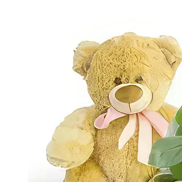 Sofia flowers  -  The Adorable Bear Flower Bouquet/Arrangement
