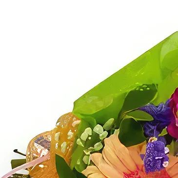 Begunovci 花- 多彩な 花束/フラワーアレンジメント