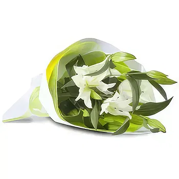 Kravino flowers  -  White Petals Flower Delivery