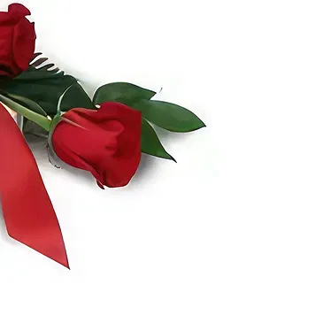 Begunci Blumen Florist- Wunder in der Verpackung Bouquet/Blumenschmuck
