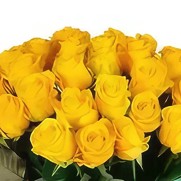 Bulgarien Blumen Florist- Sonnenaufgang Bouquet/Blumenschmuck
