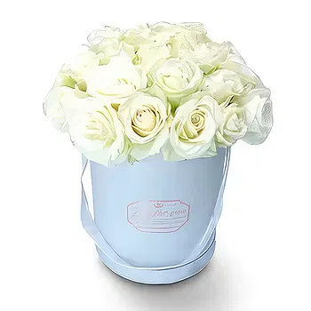 Amsterdam flowers  -  Soft Shine Flower Delivery