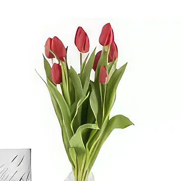 Douglas Blumen Florist- Rosa Tulpe Bouquet/Blumenschmuck